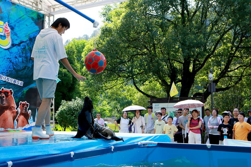 黃龍洞清涼游升溫，中外游客樂享避暑度假新體驗