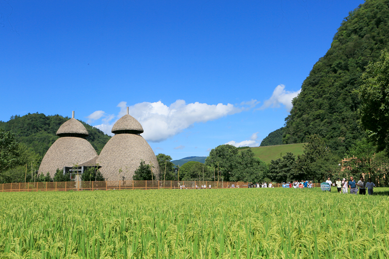 張家界黃龍洞：農(nóng)旅融合生態(tài)美，田園風(fēng)光引客來